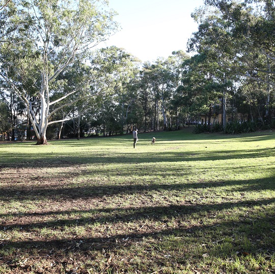  Birrung Park view with man and dog